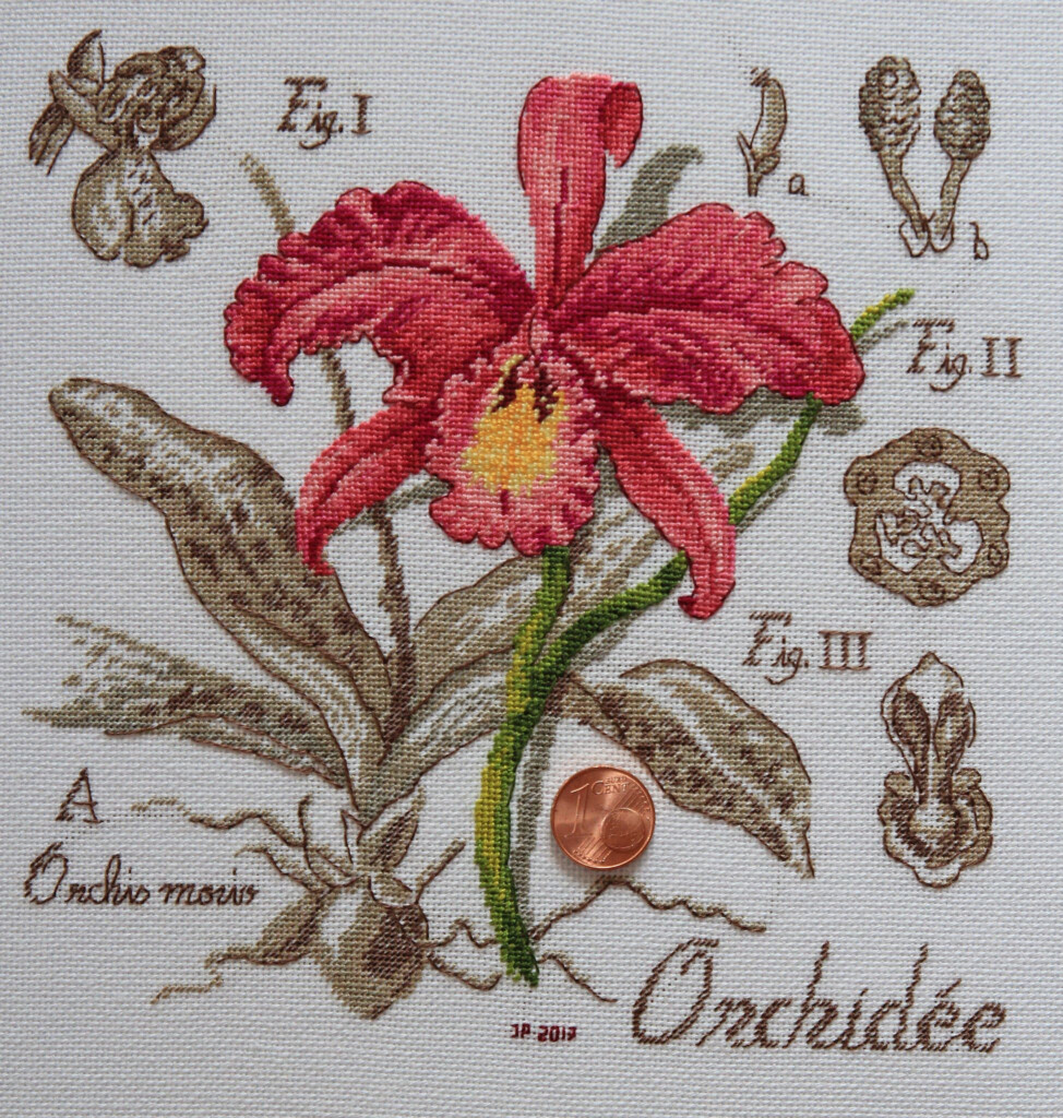 Orchidee Veronique Enginger Cross Stitch Flowers Cross Stitching  - Veronique Enginger Cross Stitch Patterns