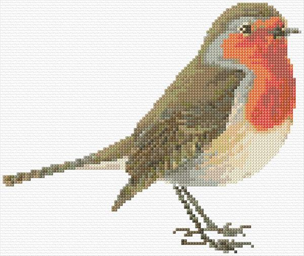Robin Redbreast Cross Stitch Designs - Robin Cross Stitch Pattern Free