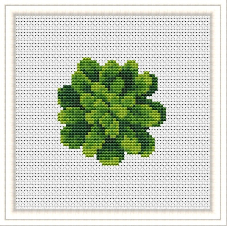 Succulent Cross Stitch Modern Pattern Flower Plants Cross Etsy - Small Succulent Cross Stitch Pattern
