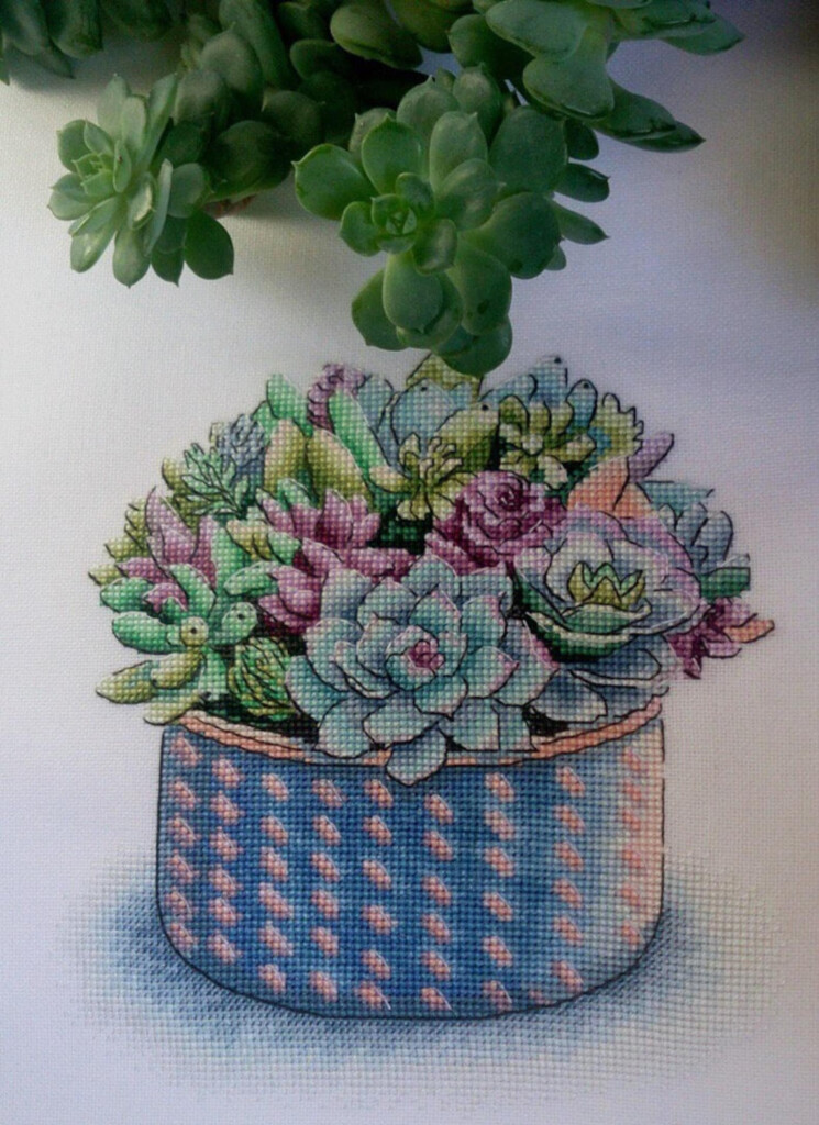 Succulent Cross Stitch Pattern PDF Instant Download Plant Etsy - Small Succulent Cross Stitch Pattern