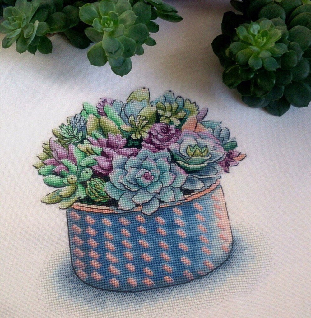 Succulent Cross Stitch Pattern PDF Instant Download Plant Etsy - Small Succulent Cross Stitch Pattern