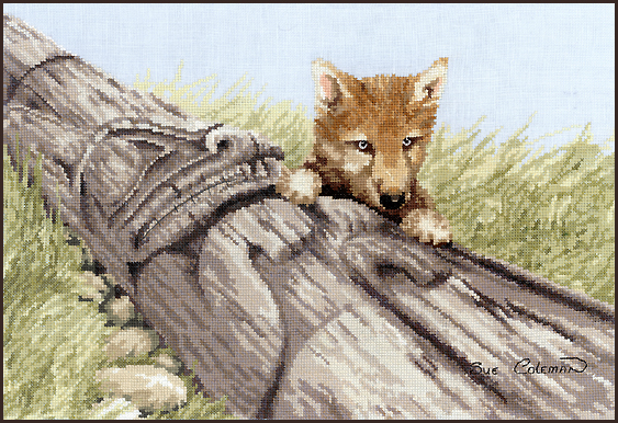 The Stitching Studio Presents The Art Of Sue Coleman In Cross Stitch - Sue Coleman Cross Stitch Patterns
