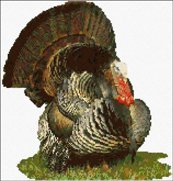 Turkey Cross Stitch Designs - Free Turkey Cross Stitch Pattern